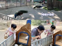 -史努比缤纷世界