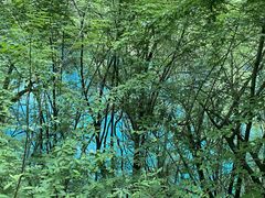 -叠溪松坪沟景区