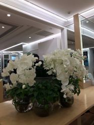 -In Style造型