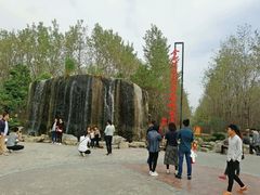 -合肥滨湖国家森林公园