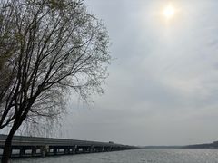 -丁香湖公园