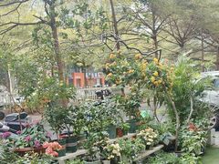 -山水茶艺馆·点心粤菜·30年老字号