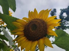 -重庆中央公园(渝北区)