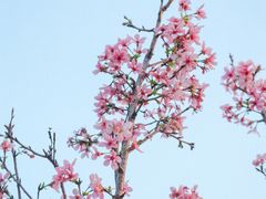 -文华公园(禅城区)