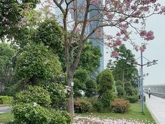 -演武大桥观景平台