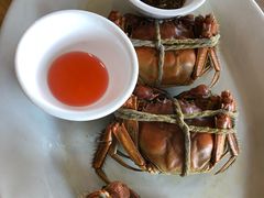 -绿雅居原生态农庄(小涌店)