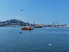 -海驴岛(荣成市)