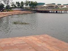 -新江湾城公园