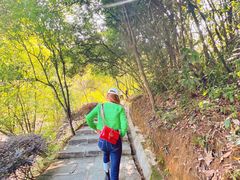 -广州白江湖森林公园