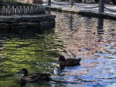 -水磨沟公园