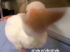 -骨鲜坊筒子骨粉