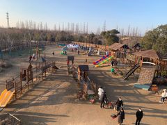 -上海长兴岛郊野公园