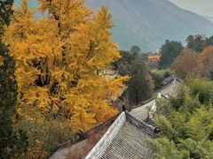 -潭柘寺景区