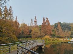 -棠湖公园