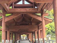 -重庆彩云湖湿地公园