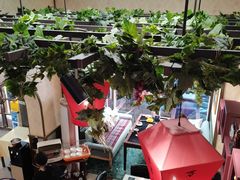 -香港威特瑞茶餐厅(小白楼音乐厅店)