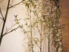 -十二舍·湯物素煮(江泰潤政店)
