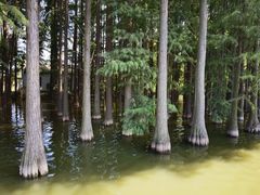 -采石矶景区