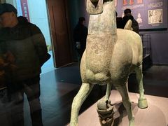 -广西壮族自治区博物馆