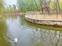 -秦皇岛野生动物园