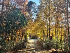 -上海海湾国家森林公园