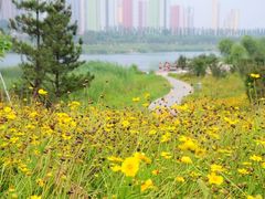 -永定河休闲森林公园