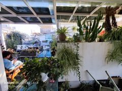 -唐咖精品咖啡(大理古城手冲店)