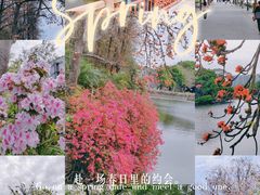 -东山湖公园