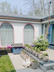-爱儿美儿童摄影(朝阳公园店)