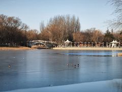 -大兴滨河森林公园