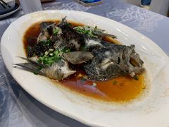 -都市阳光海鲜城(青山湖店)
