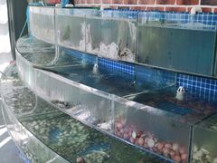 水产区-蟹谢蒸鲜自助餐厅