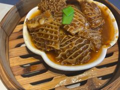 -点都德·毕德寮