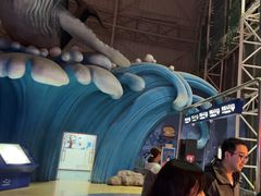 -烟台海昌鲸鲨海洋公园