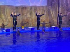 -华夏文旅海洋公园