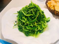 清炒鸡毛菜-大碗居·烤鸭·鱼头泡饼(天坛东门店)