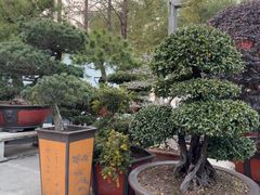 -龙华素斋(龙华路店)