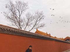 -大召寺明清一条街