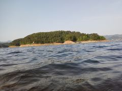 -浔味·山屿湖·正宗全鱼宴老字号