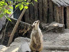 -动物园(地铁站)
