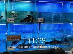 -老宋家鱼馆(北滨路店)