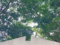 -福田红树林生态公园