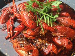 -红辣椒·川菜·火锅(科华路店)