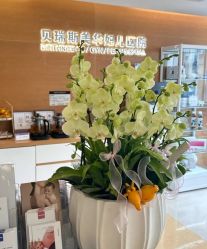 -杭州贝瑞斯美华妇儿医院·早孕·产检·儿科