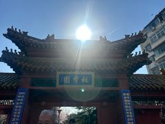 -桃花堤公园
