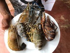 -Green Lobster Waskaduwa Seafood Restaurant