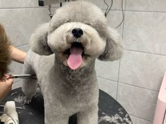 -芭比堂动物医院·24小时·眼科中心(深圳中心)