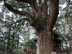 -安溪清水岩