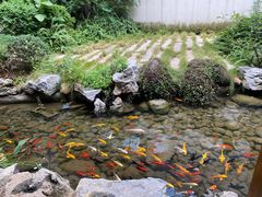 -绣园·茶食宴(湘绣博物馆店)