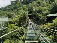 -海南槟榔谷黎苗文化旅游区